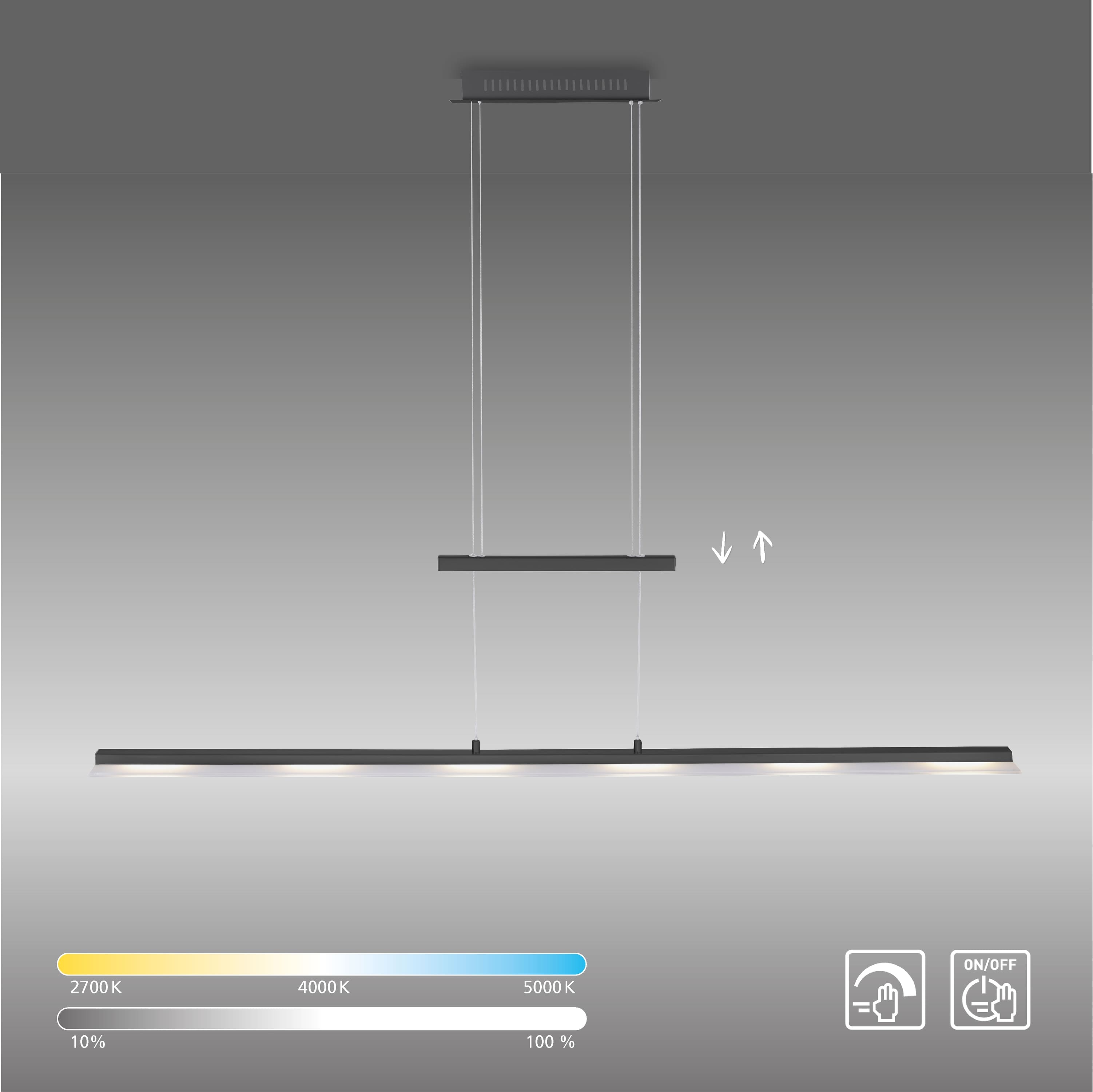 JUST LIGHT LED-Pendelleuchte 15880-13 anthrazit, 24 W, 2700 lm, CCT