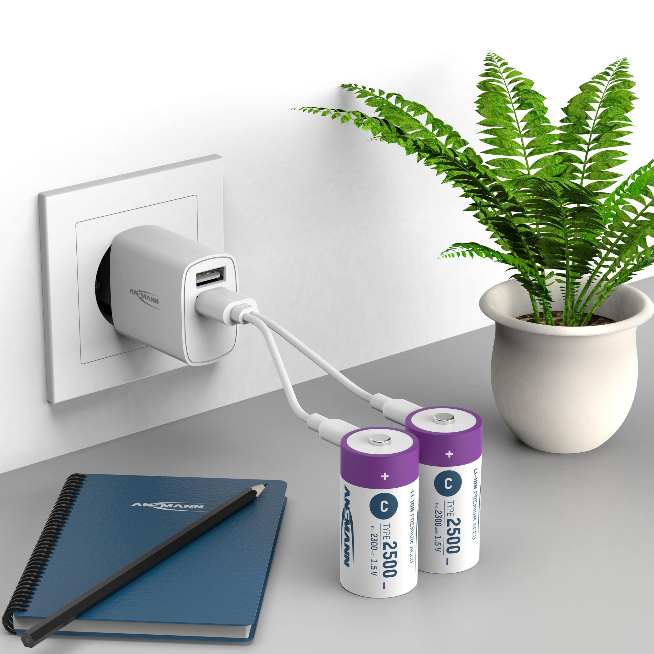 ANSMANN Li-Ion Baby-C-Akku, Typ 2500 (min. 2300mAh), 2 Stück