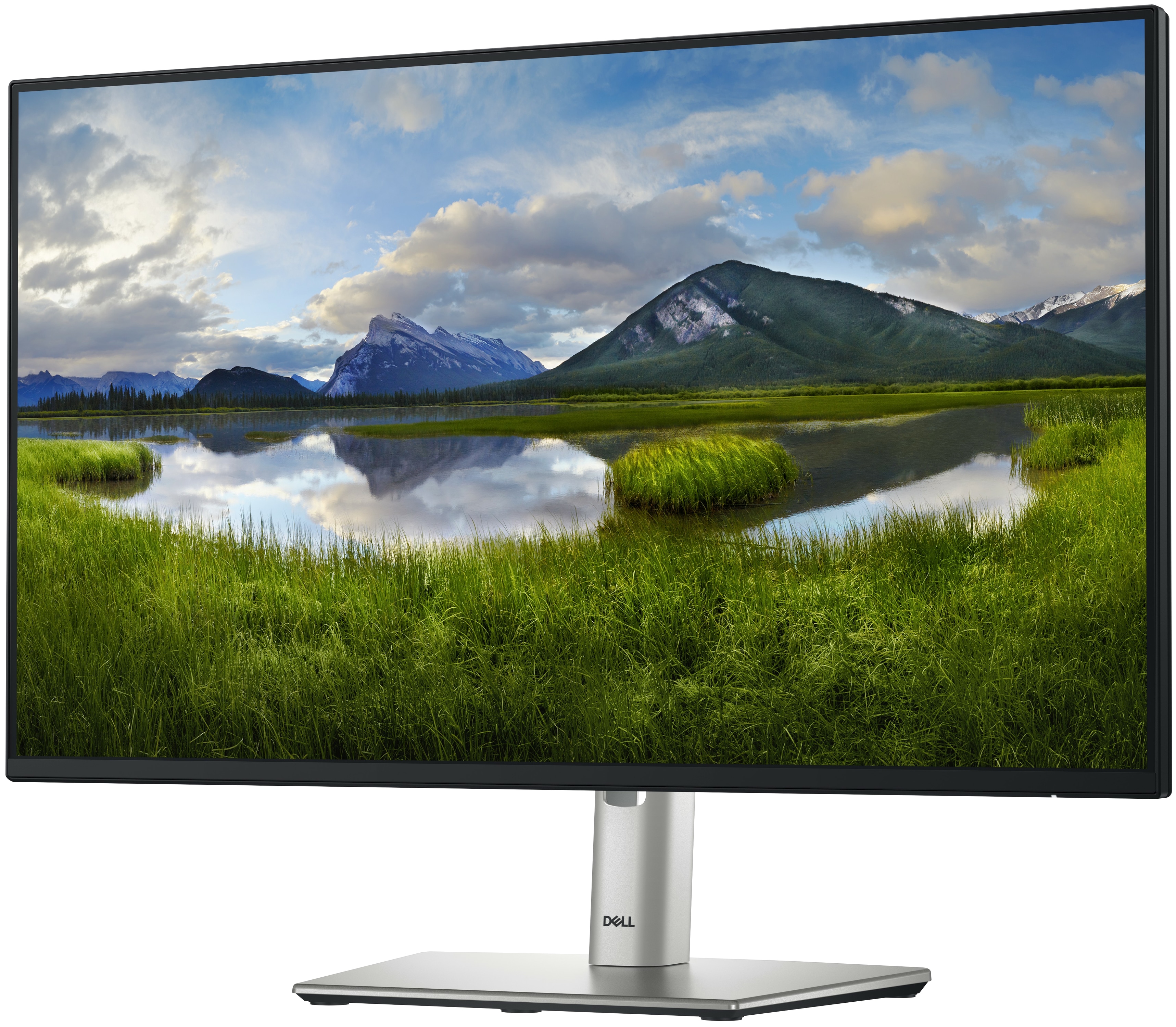 Dell Monitor P2425H