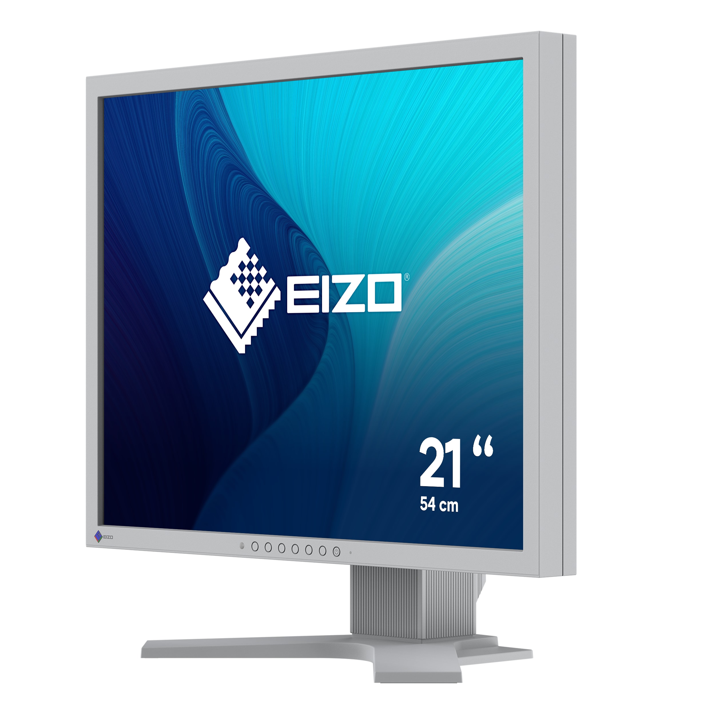 EIZO Monitor S2134-BK 54,1cm (21,3") 