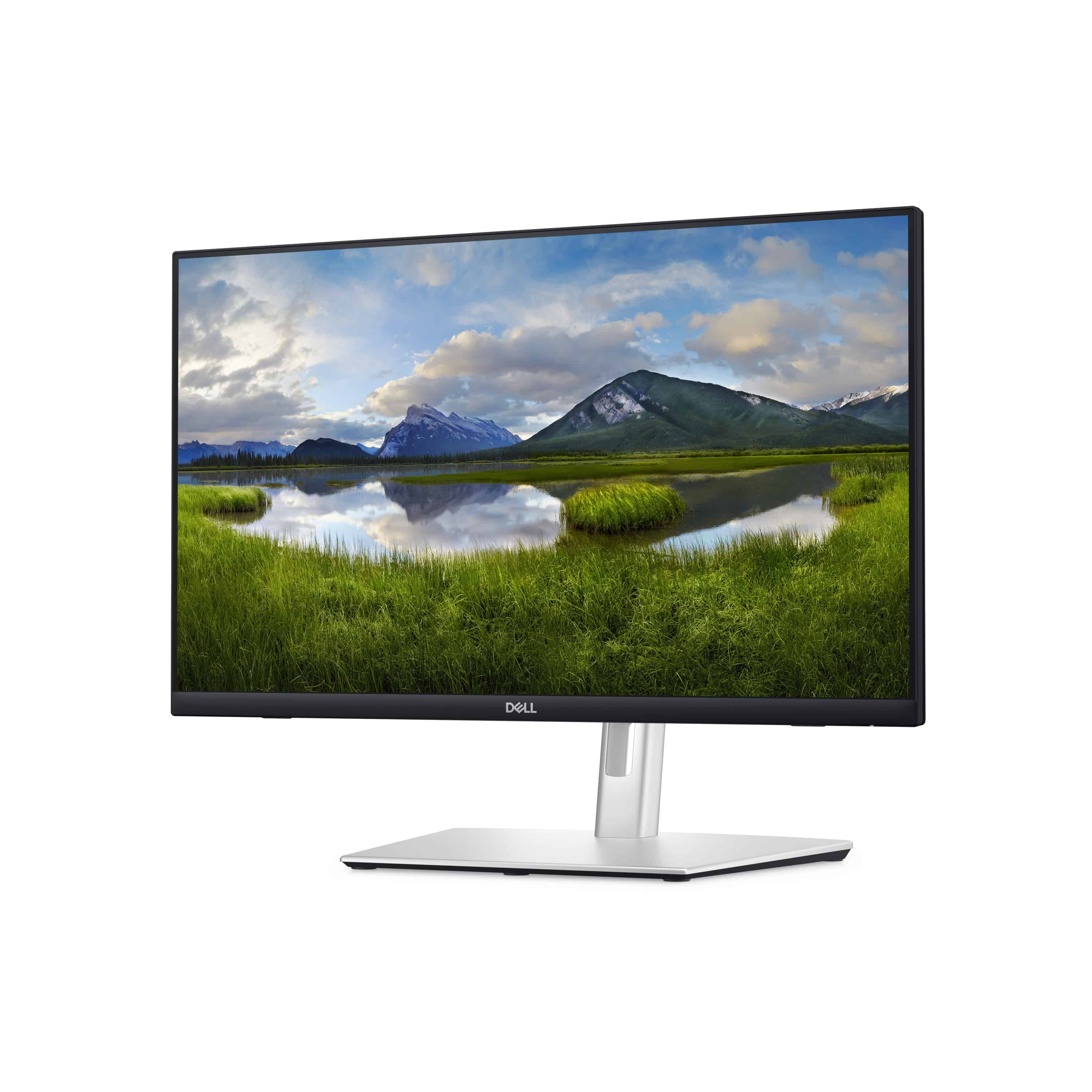 DELL Monitor P2424HT 61cm (24") 