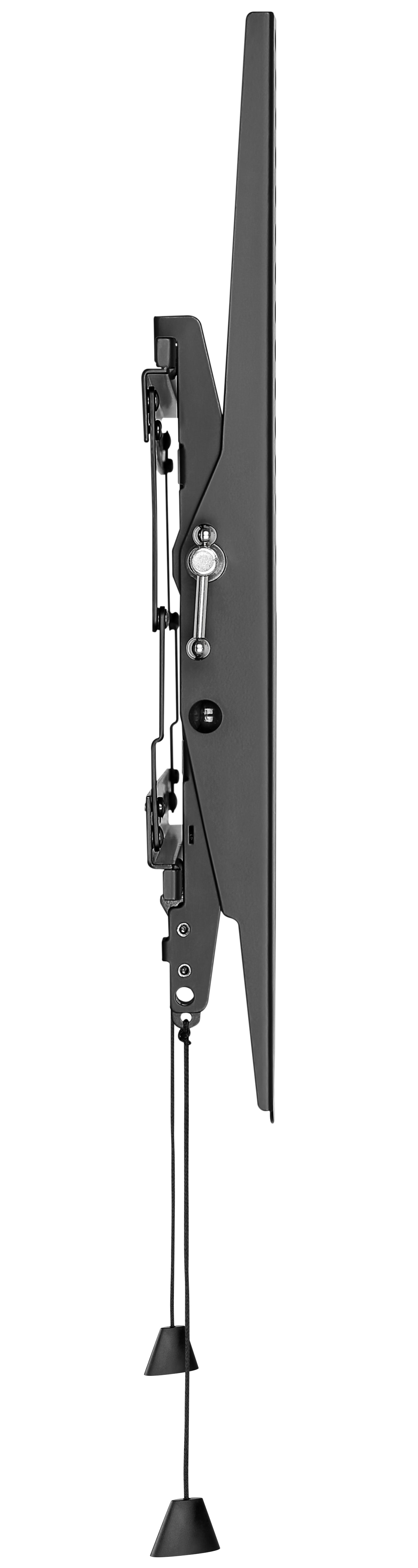 GOOBAY TV-Wandhalter Pro TILT M, 32...55" (81...140 cm), 12° neigbar