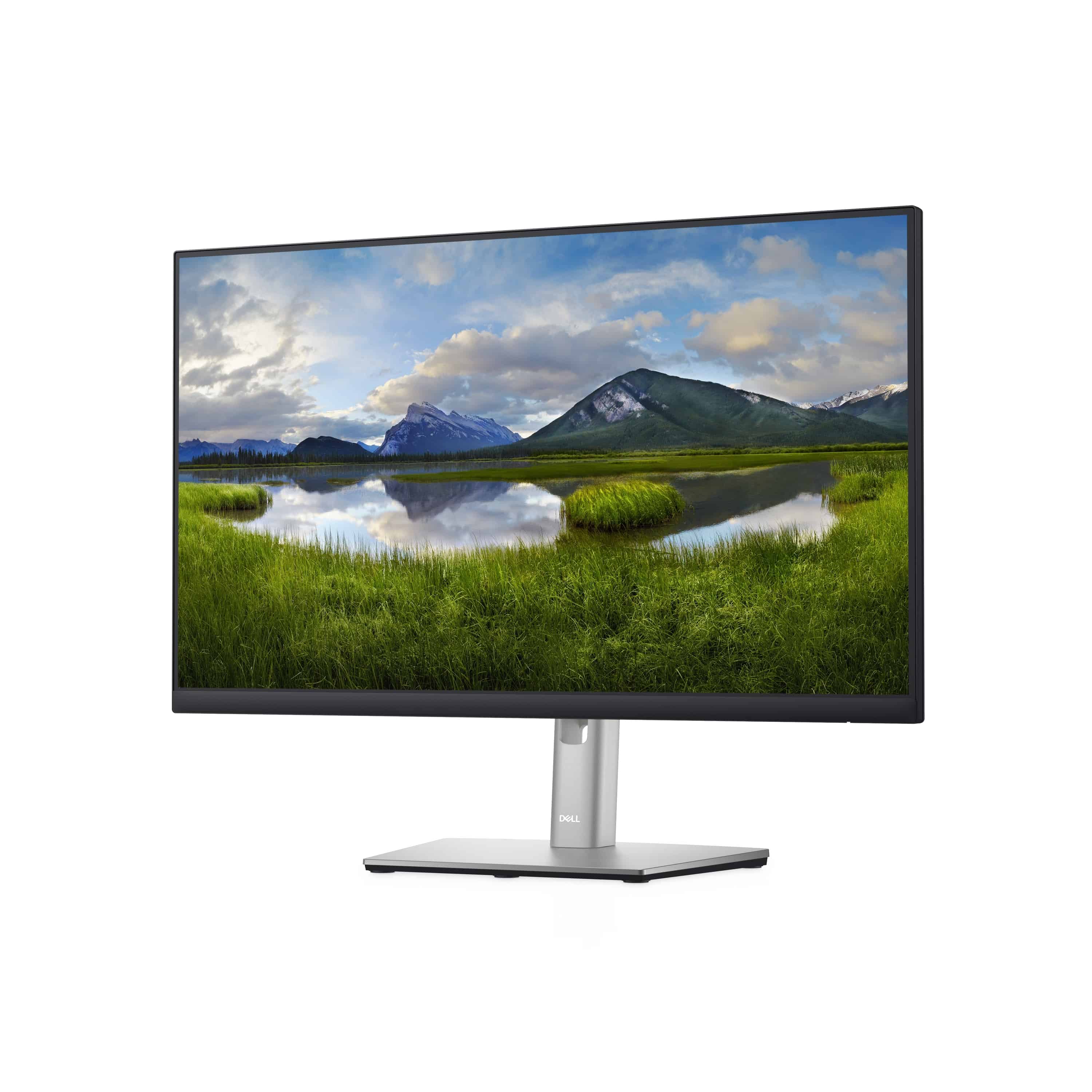 DELL Bildschirm P2422H, 60,45cm/23,8'', (1920x1080), 16:9, 5ms, IPS, DisplayPort, VGA, HDMI