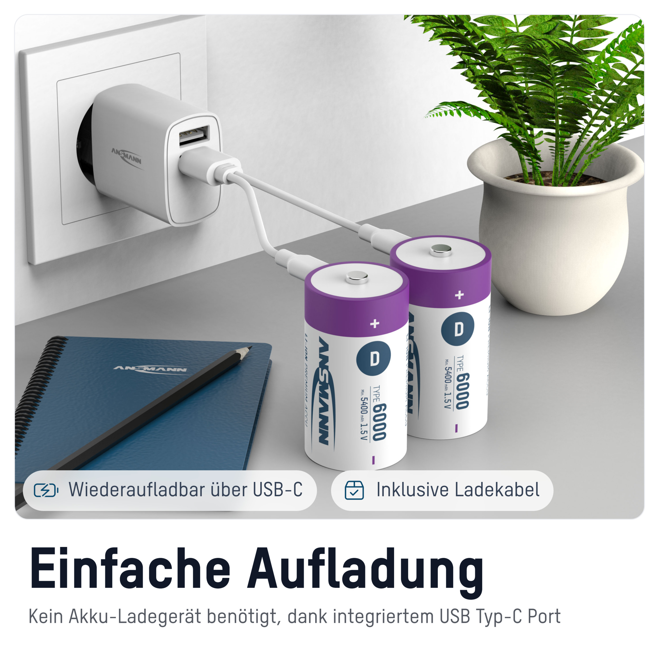 ANSMANN Li-Ion Mono-Akku, D, Typ 6000 (min. 5400mAh), 2 Stück