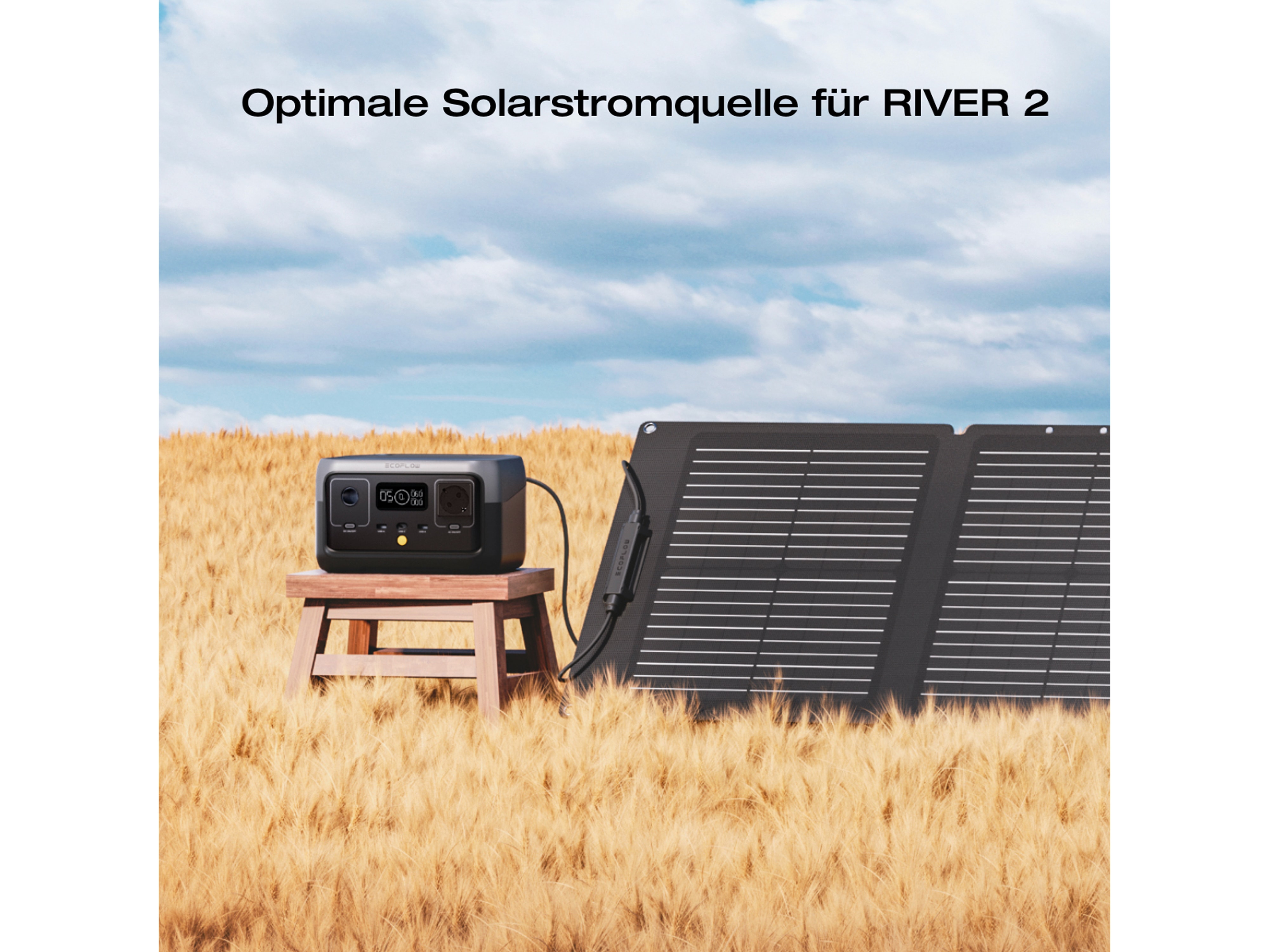 ECOFLOW Solarmodul, 60 W