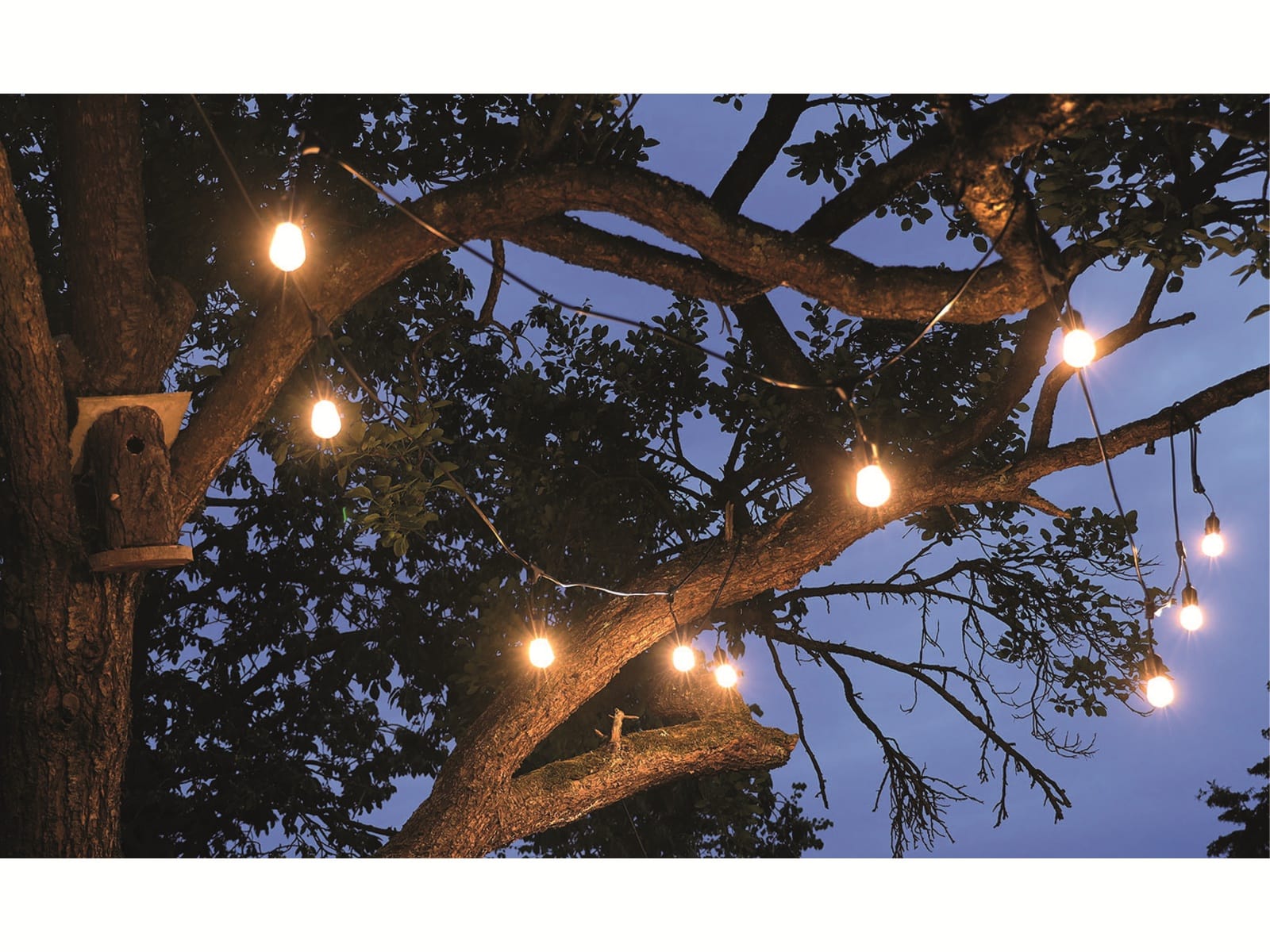 CHILITEC Biergarten-Lichterkette, 12,5m, 15x Filamentlampe