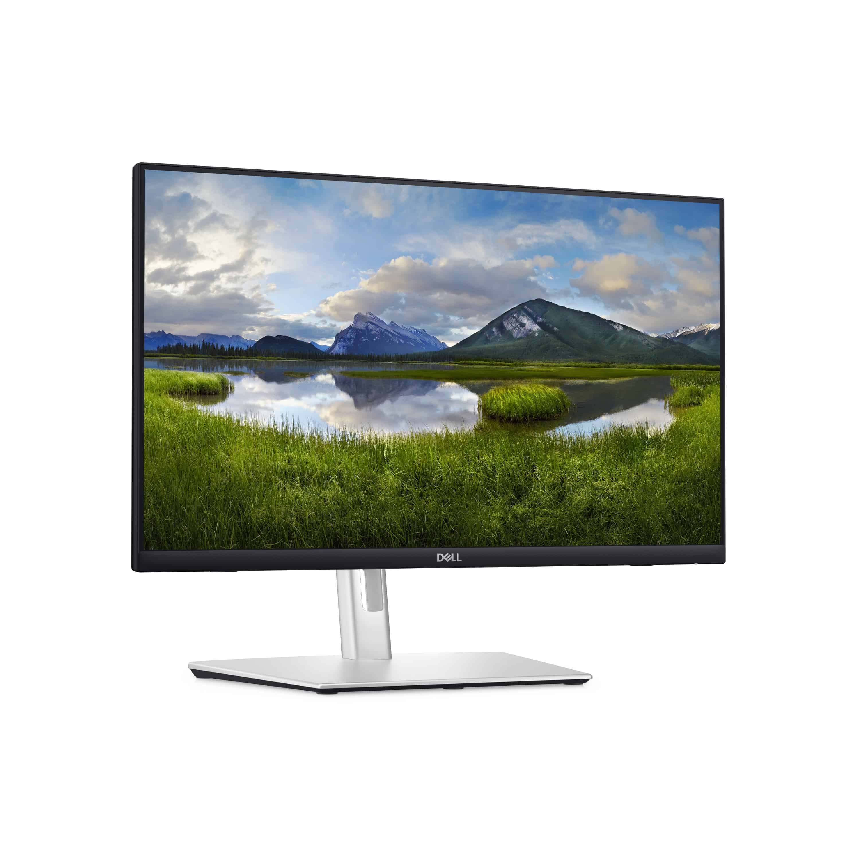 DELL Monitor P2424HT 61cm (24") 