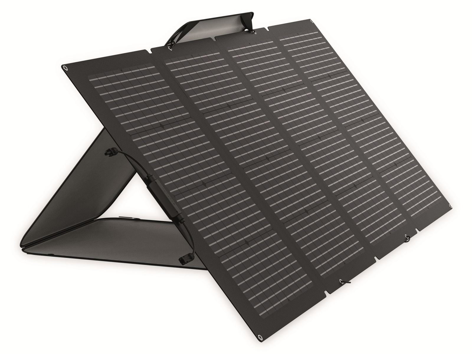 ECOFLOW Solarmodul, 220 W