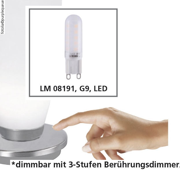 PAUL NEUHAUS LED-Tischleuchte 4013-60 messsing, G9, 3 W, 235 lm, 3000 K 