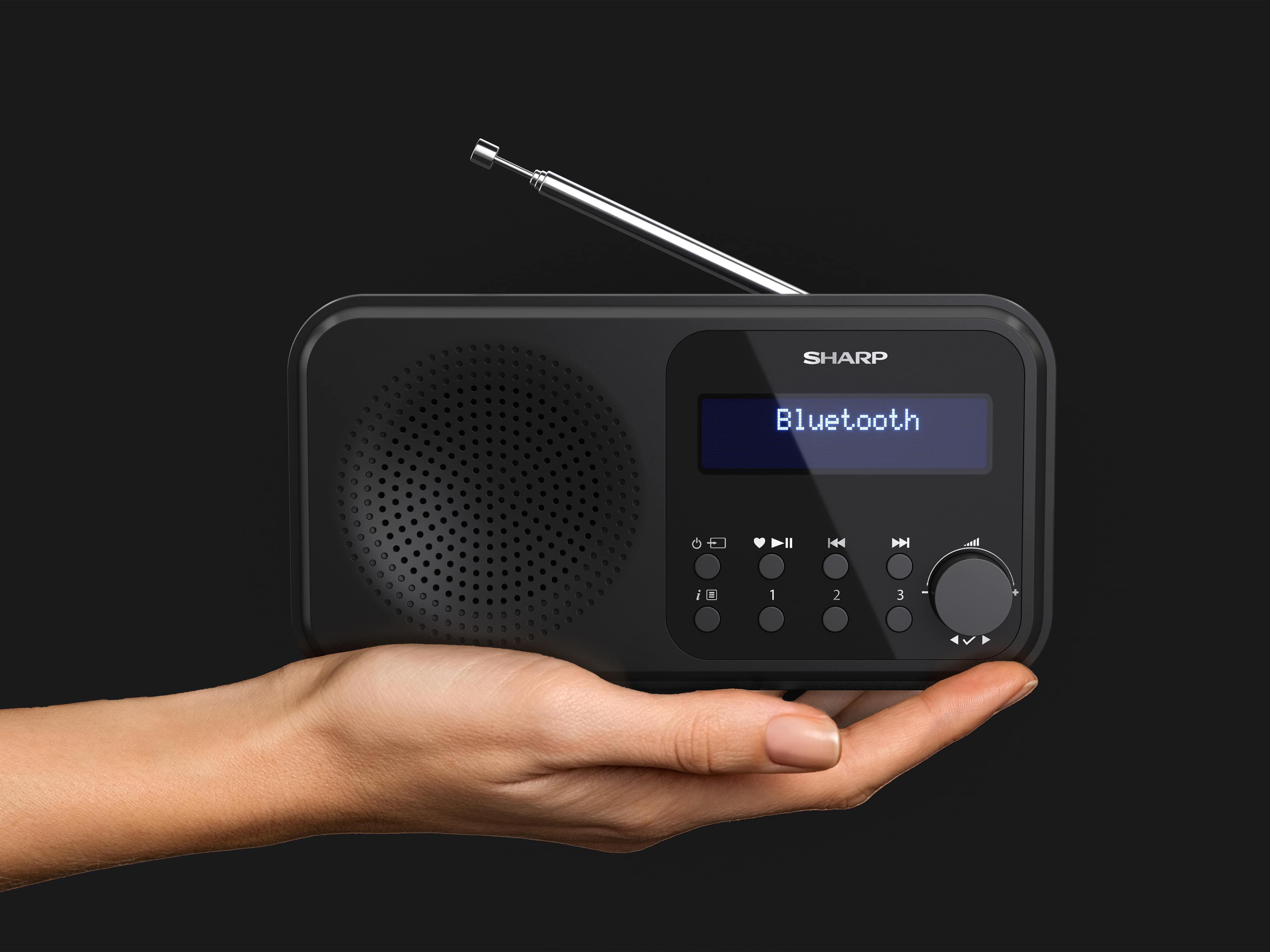 SHARP Digitalradio-tragbar DR-P420, schwarz, DAB+, Bluetooth, USB