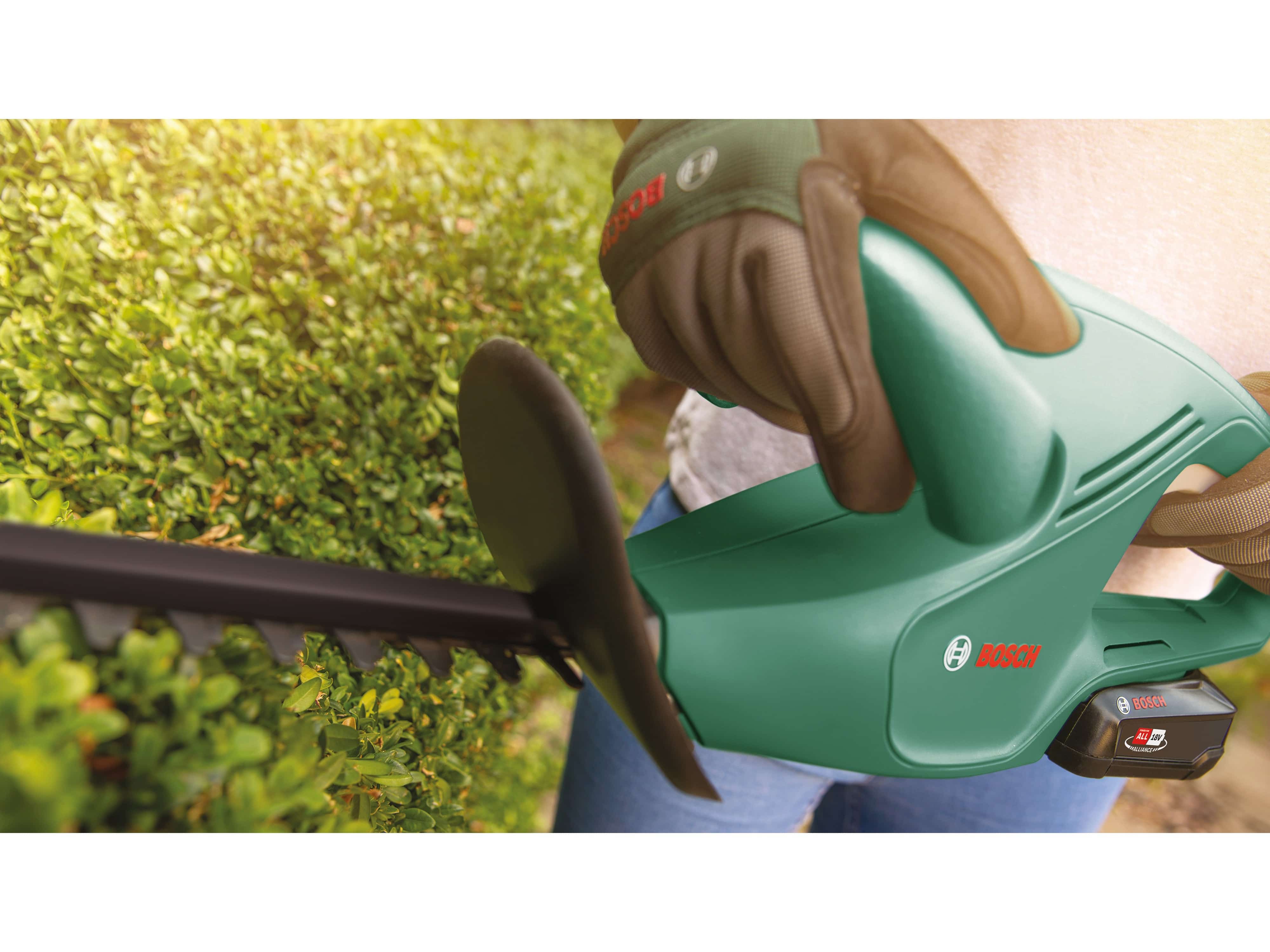 BOSCH Akku-Heckenschere EasyHedgeCut 18-45, Akku + Ladegerät