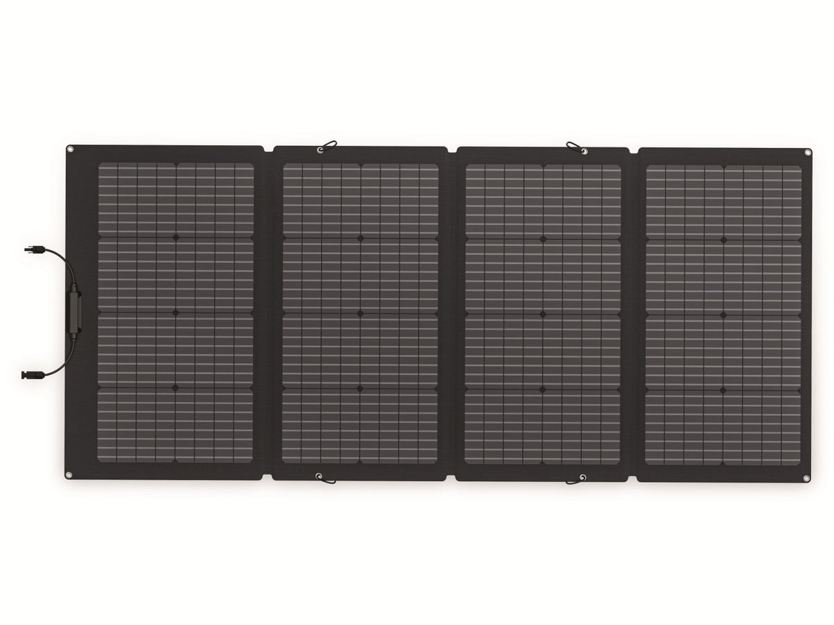 ECOFLOW Solarmodul, 220 W