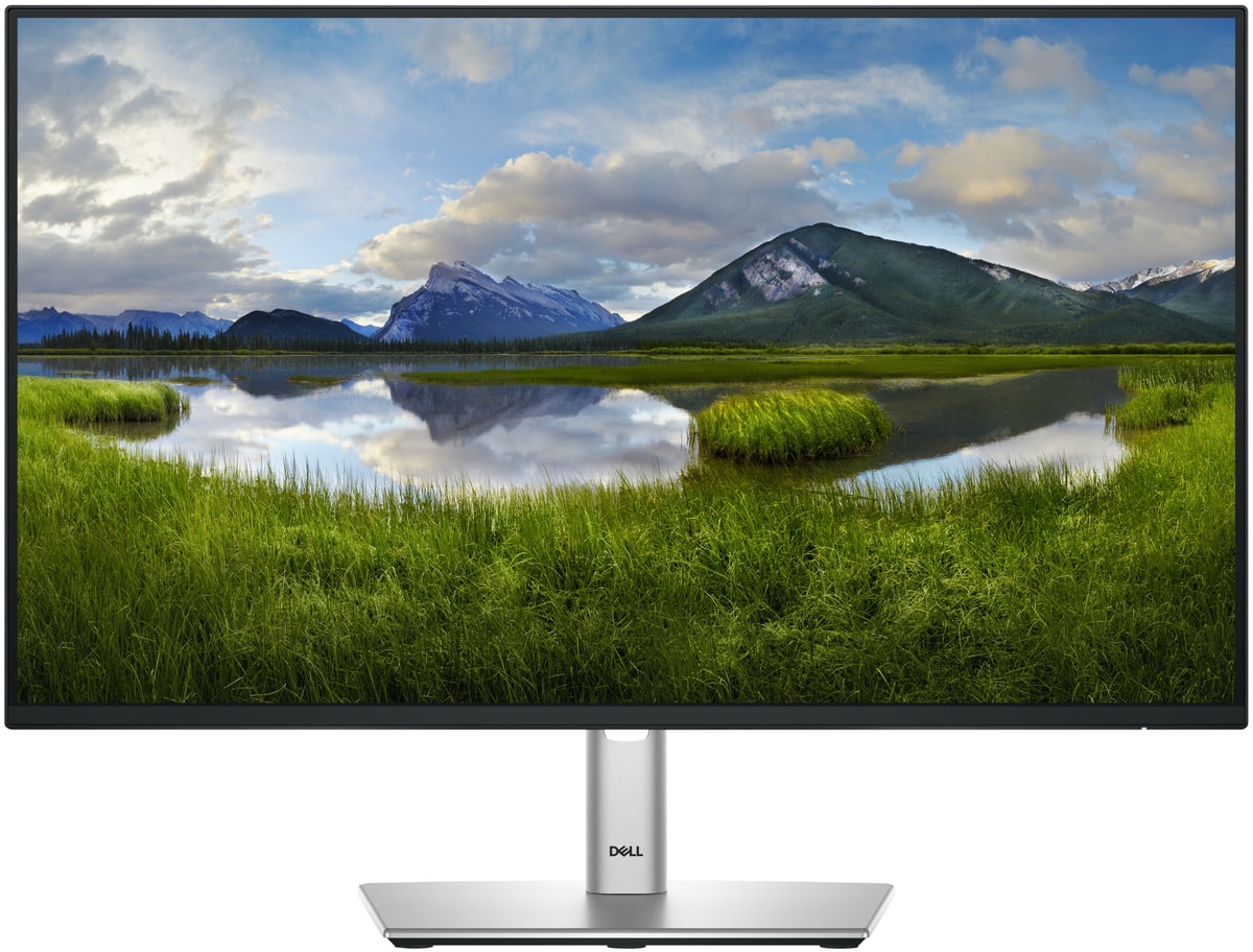 DELL Monitor P2425H